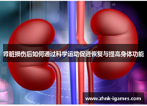 肾脏损伤后如何通过科学运动促进恢复与提高身体功能